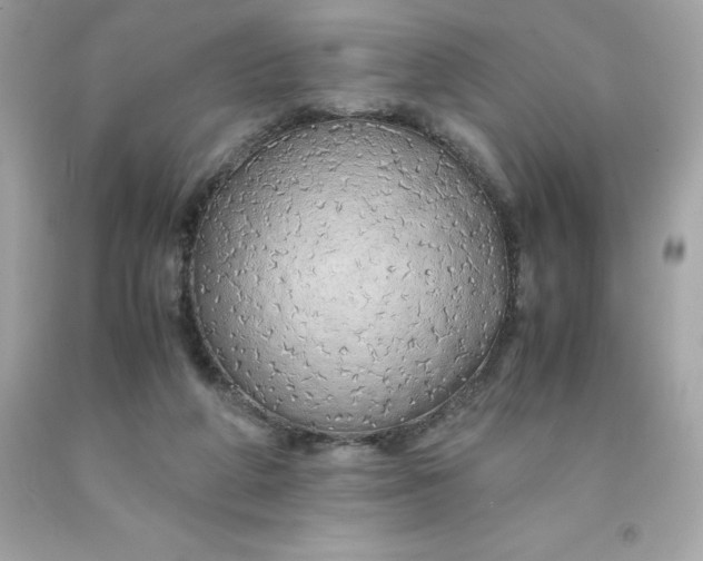 X0000091490210200709061908