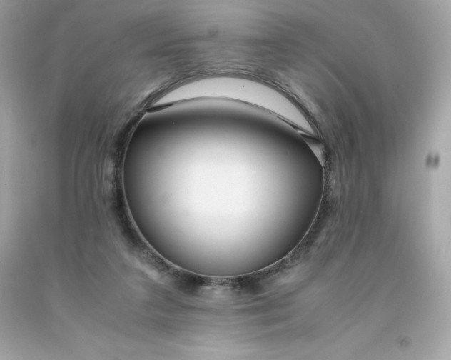 X0000091490211200709061908