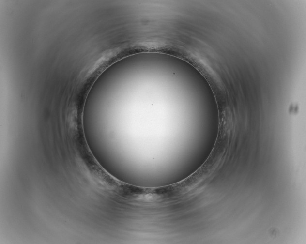 X0000091490212200709061908