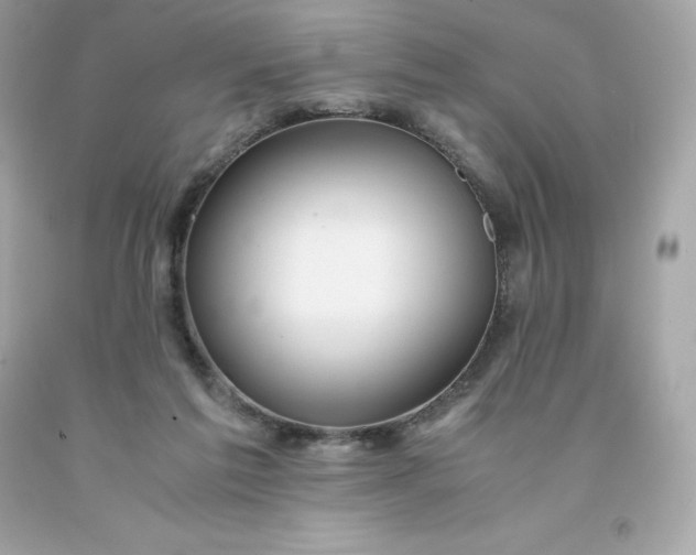 X0000091490213200709061908