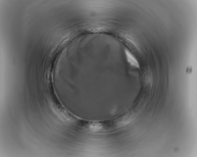X0000091490214200709061908