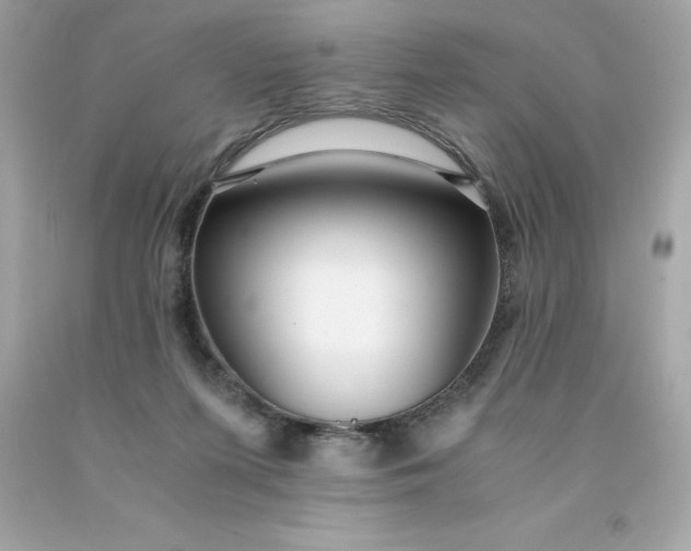 X0000091490215200709061908