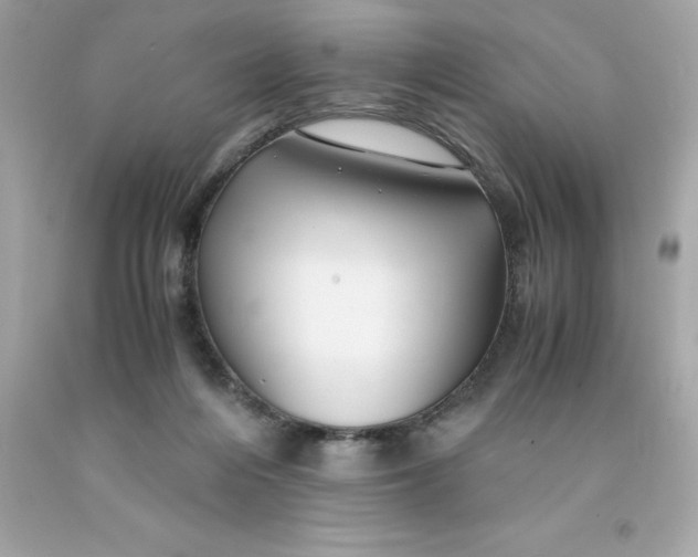 X0000091490216200709061908