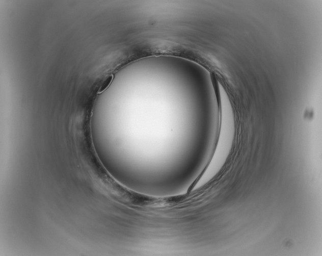 X0000091490217200709061908
