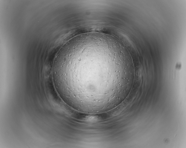 X0000091490218200709061908