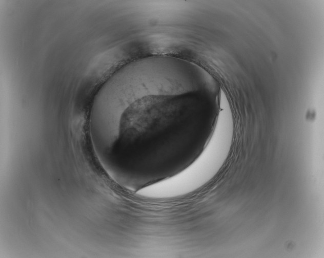 X0000091490219200709061908