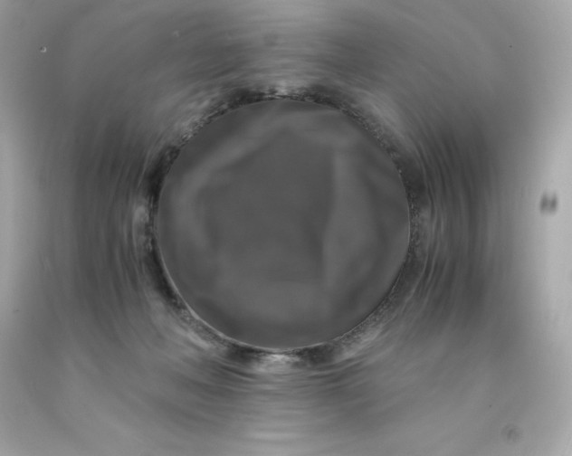 X0000091490222200709061908