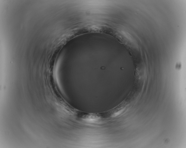 X0000091490223200709061908
