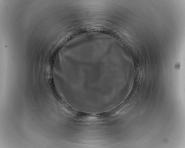 X0000091490224200709061908
