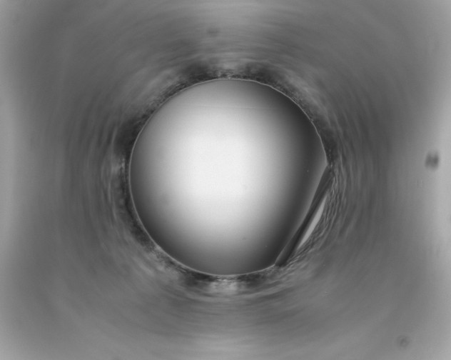 X0000091490225200709061908