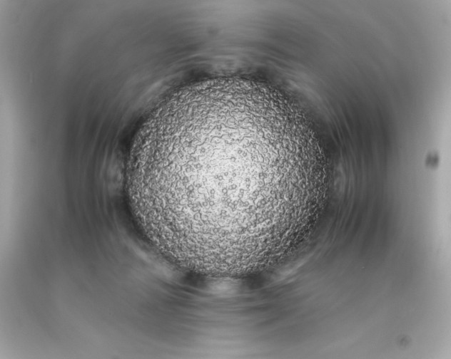 X0000091490226200709061908