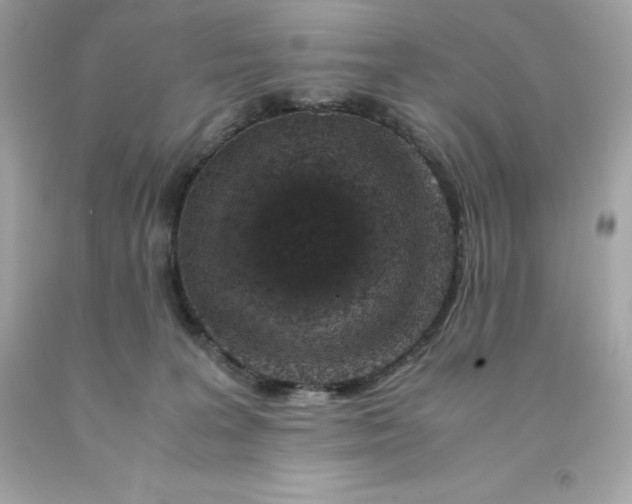 X0000091490227200709061908