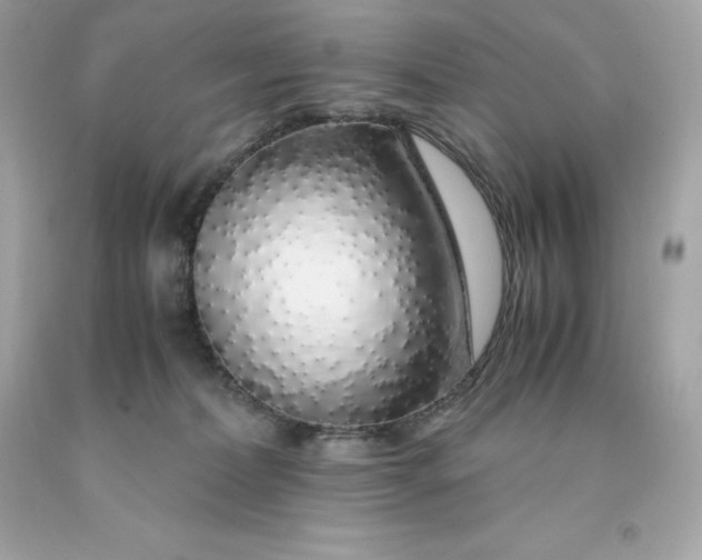X0000091490228200709061908