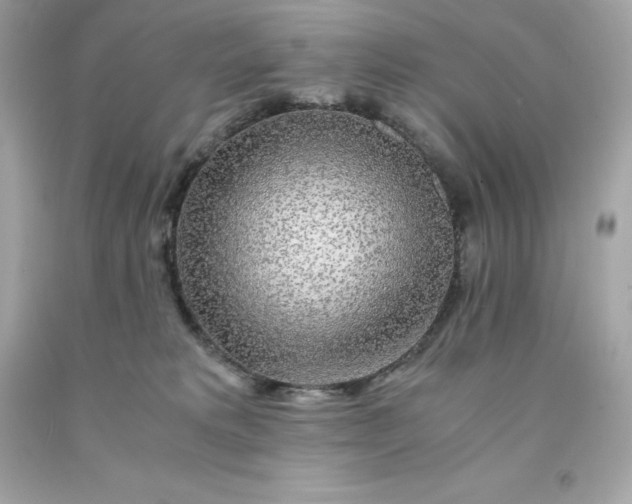 X0000091490229200709061908