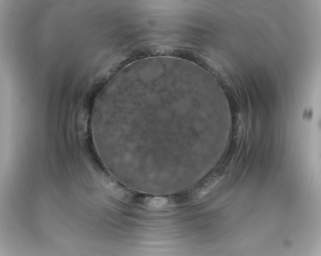 X0000091490230200709061908