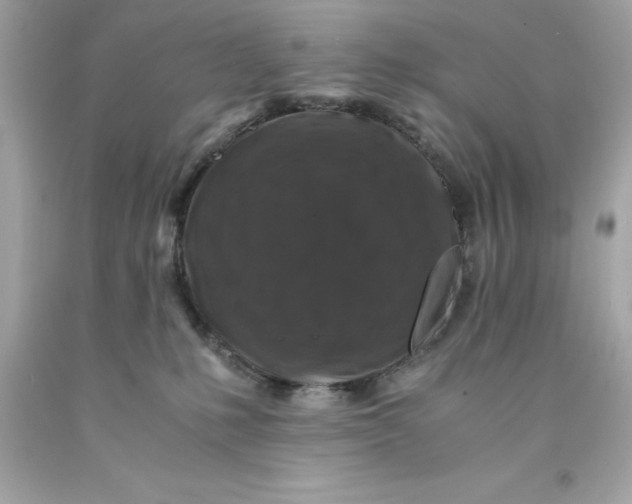 X0000091490231200709061908