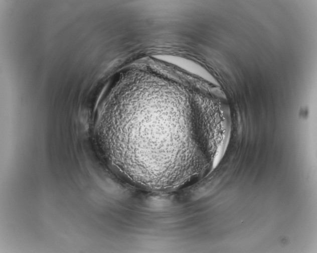 X0000091490232200709061908