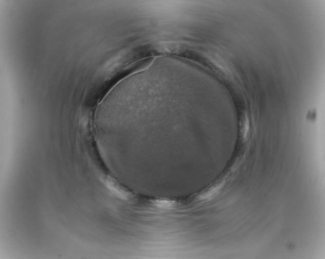 X0000091490233200709061908