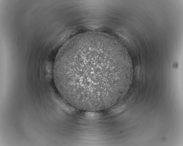 X0000091490234200709061908