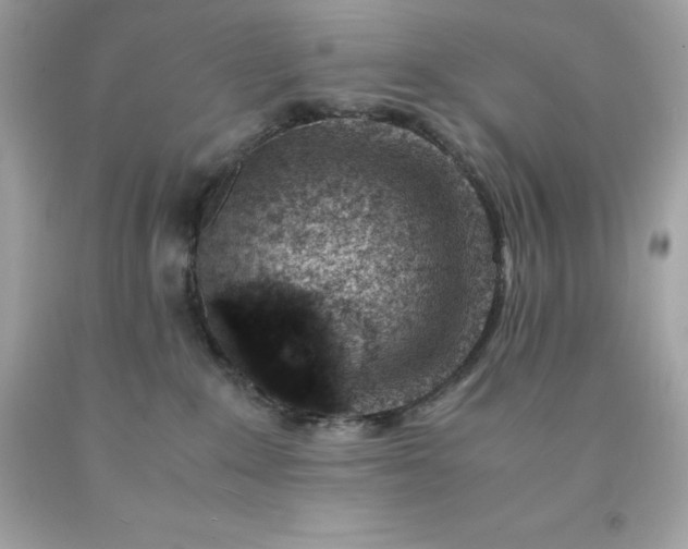 X0000091490235200709061908