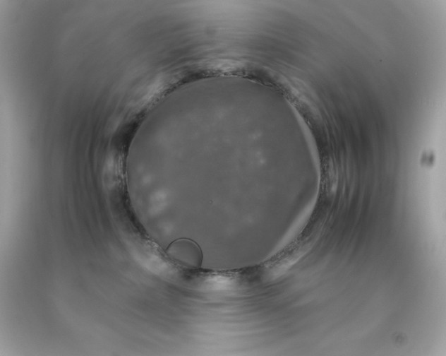 X0000091490236200709061908