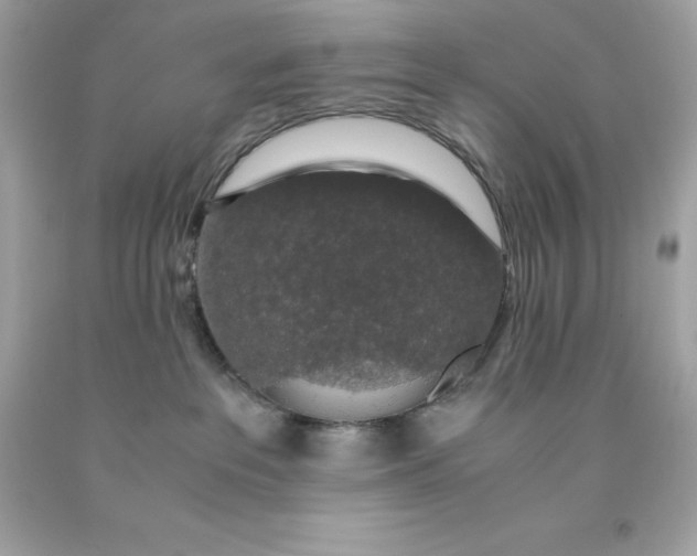 X0000091490237200709061908
