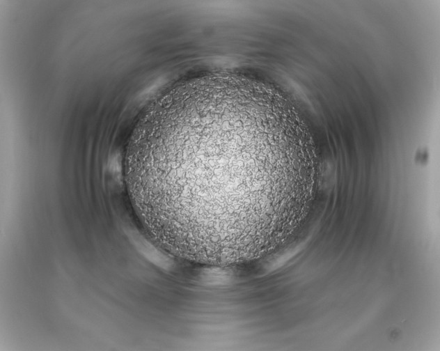 X0000091490238200709061908