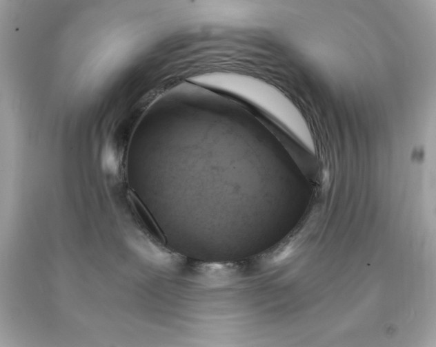 X0000091490239200709061908