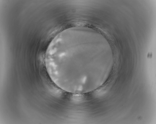 X0000091490240200709061907