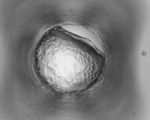 X0000091490241200709061907