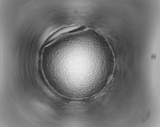 X0000091490242200709061907