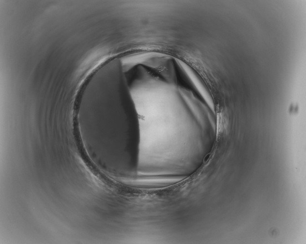 X0000091490243200709061907