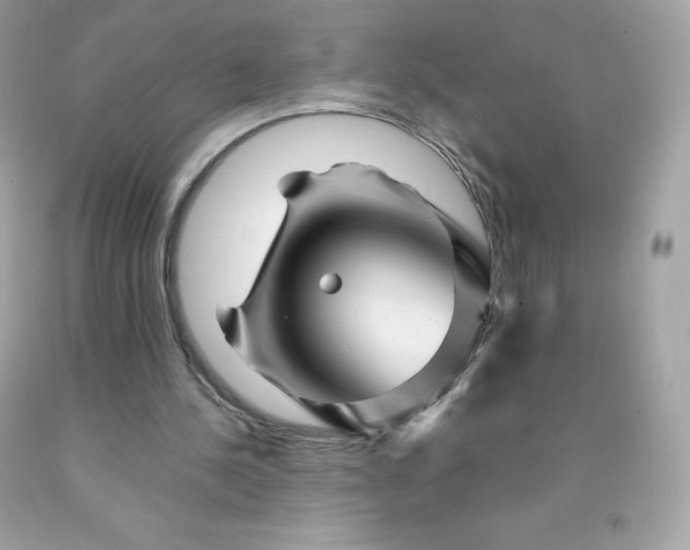 X0000091490244200709061907