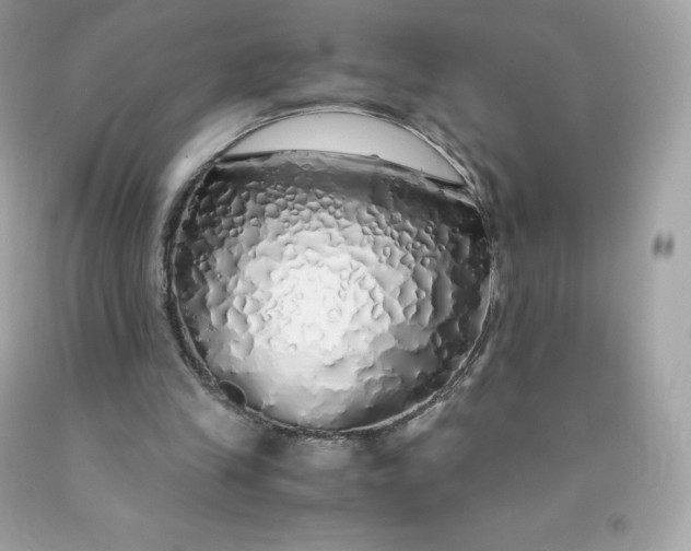 X0000091490245200709061907