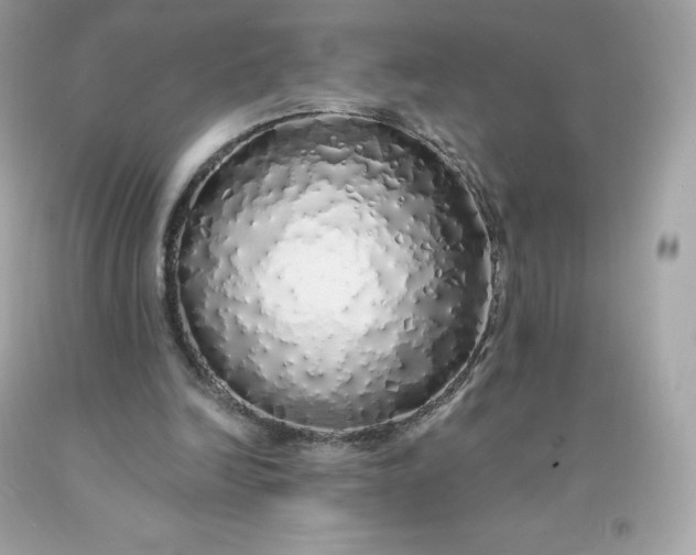 X0000091490246200709061907