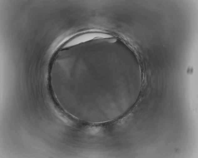 X0000091490247200709061907