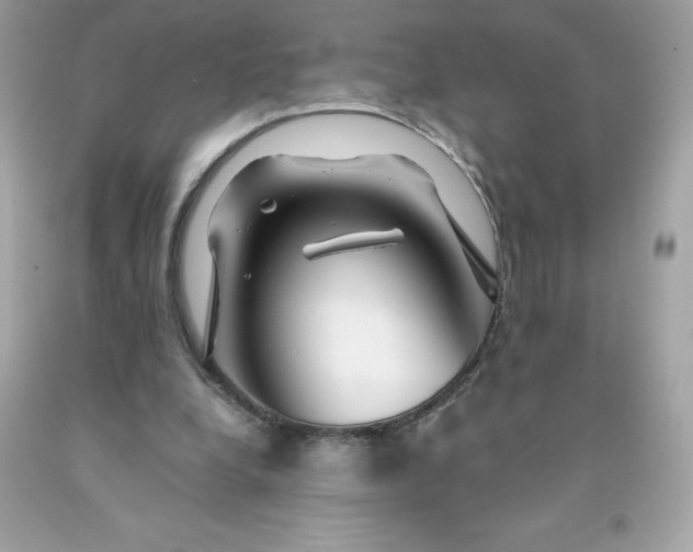 X0000091490248200709061907