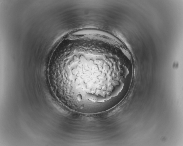 X0000091490249200709061907