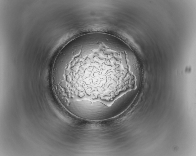 X0000091490250200709061907