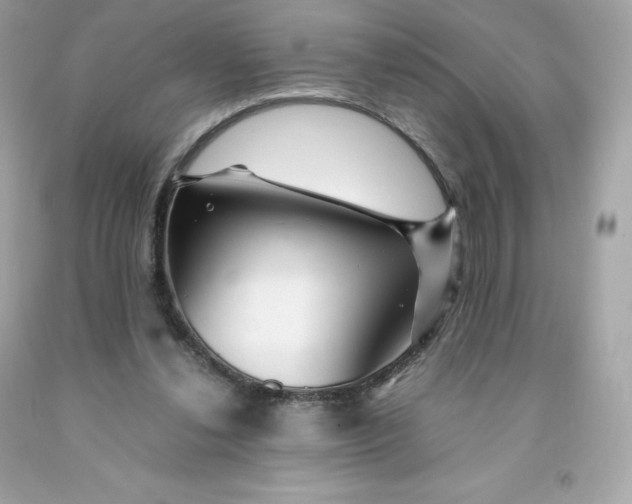 X0000091490252200709061907