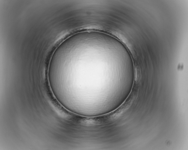 X0000091490253200709061907