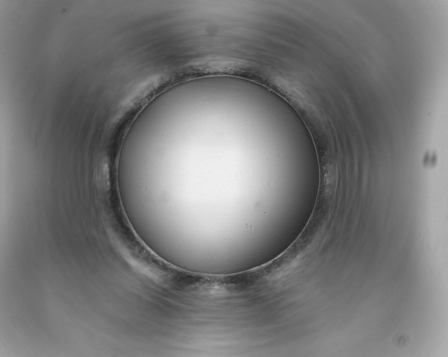 X0000091490254200709061907
