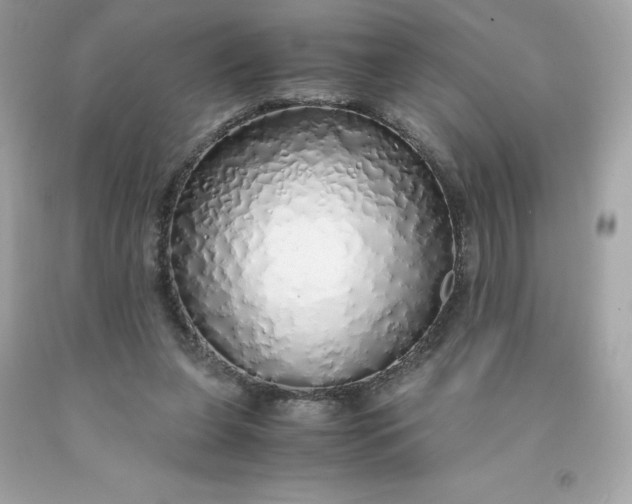 X0000091490255200709061907