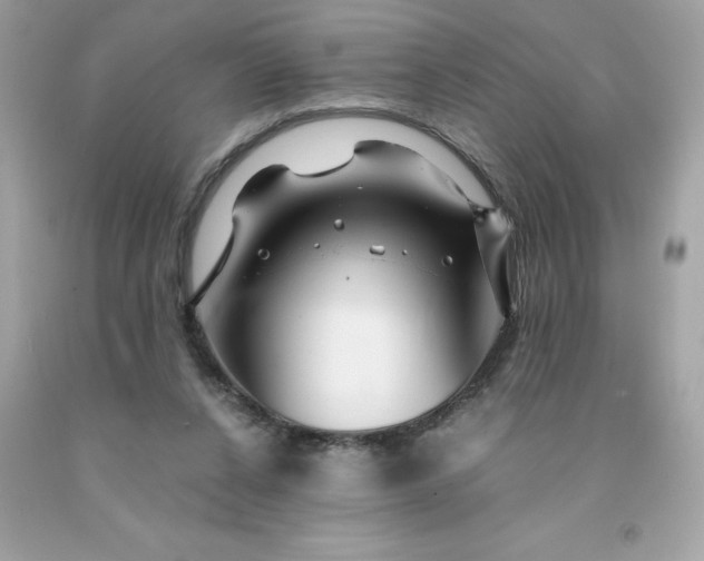 X0000091490256200709061907