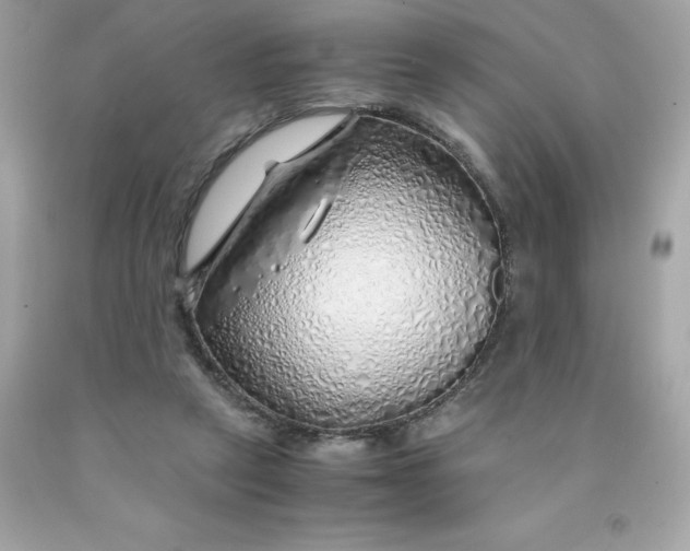 X0000091490257200709061907