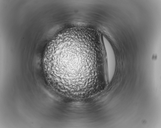 X0000091490259200709061907