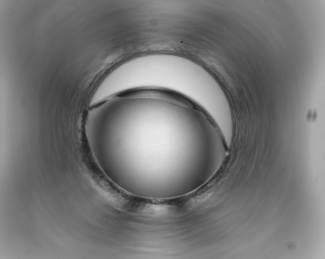 X0000091490260200709061907