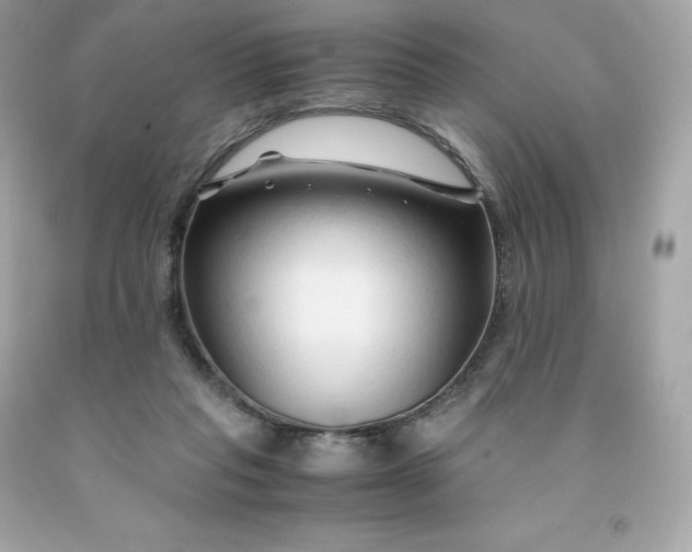 X0000091490261200709061907