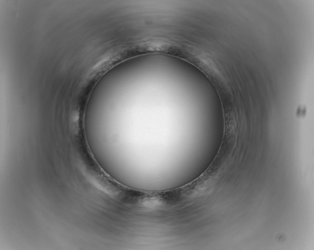 X0000091490262200709061907
