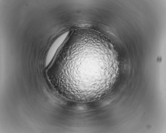 X0000091490263200709061907